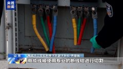 该企业厂房内的电缆